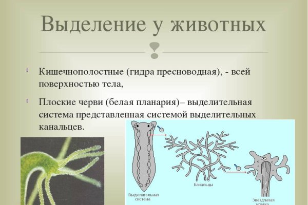 Официальный сайт даркнета