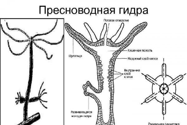 Кракен ссылка на тор