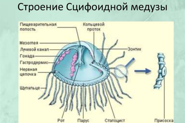 Найти ссылку на кракен